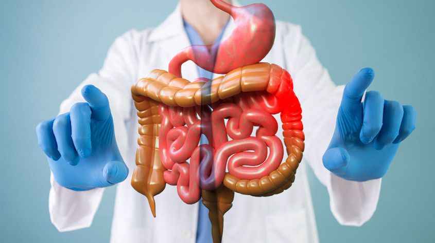 Gastro Intestinal Surgery