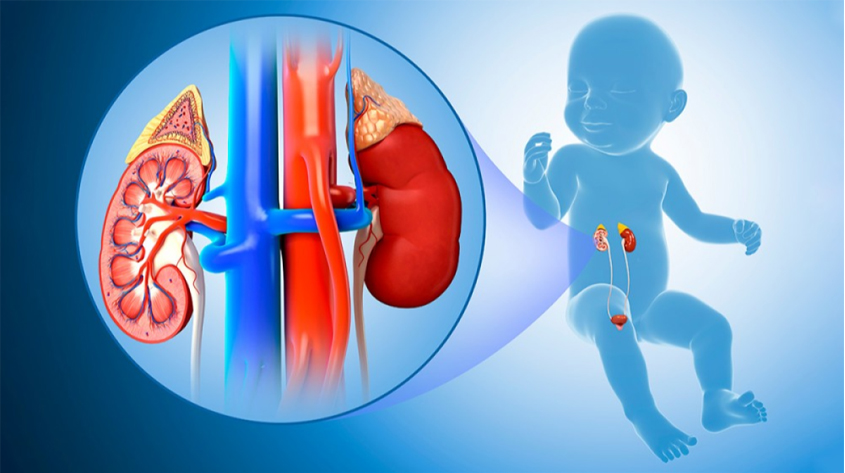 pediatric-urology